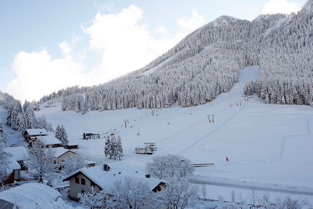 Hotel Pineta Castione della Presolana Bagian luar foto